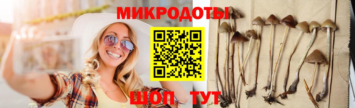 Елизово  Галлюциногенные грибы мухоморы  Вход с VPN 